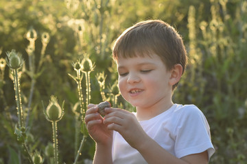 Curious boy holding snail. Little child explore nature and little animals