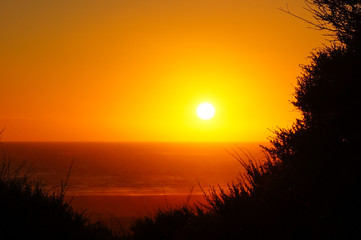 Obraz premium Sunset of Piha Beach Sillouette. Orange Sun