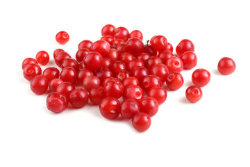Nanking cherry isolated on white