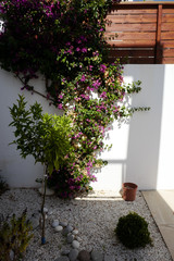 cityscape cyprus paphos