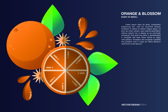 Look delicious and tasty Orange and halk with juicy element, cute Fruit and tree usefull for graphic design element and decorate your webpage or application Vector illustration design element with EPS