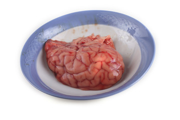 Brain on plate