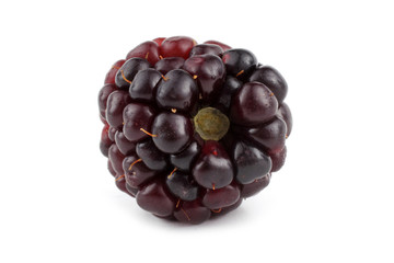 Blackberry isolated on white