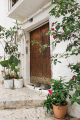 Fototapeta na wymiar cute cat lies at the door on the street of old town Peniscola, Spain