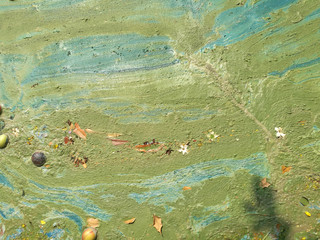 Abstract background. Art of nature, waste water surface. It's look like oil paint fluid of green and blue colour.