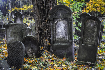 Headstones on the Jewish Cemetery located at Okopowa Street in Wola district of Warsaw in Poland