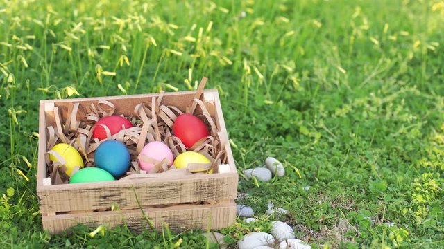 hand put colored egg in box. wooden box in the green spring grass. easter holidays concept, 4K.