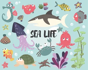 Foto op Plexiglas Cute Seaa life Collections Set © SimplyFactory