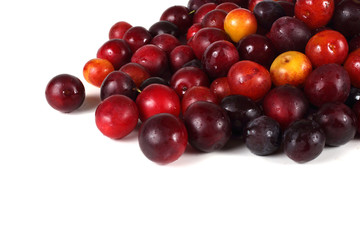 Different plum varieties