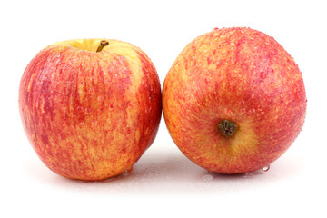 Two gala apples