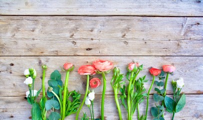 spring flowers on wooden background with copy space