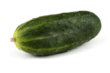 Cucumber