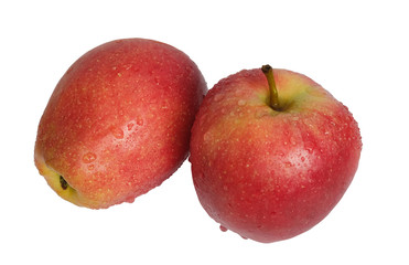 two red apples on a white background