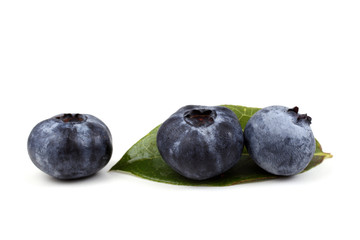 Blueberries and leaf