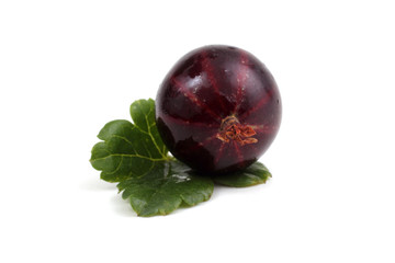Black-violet gooseberry