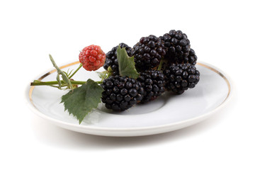Blackberries on plate