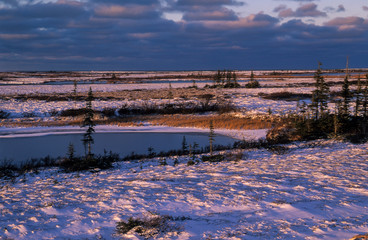 coucher de soleil, Toundra, Baie d'Hudson, Churchill, Canada
