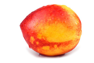 Nectarine