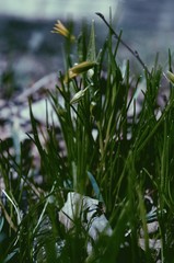 Processed with VSCO with p5 preset