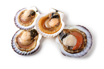 Opened scallops