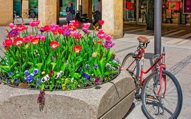 Fototapeta na wymiar Bicycle parked near street flowerbed and blooming flowers in Munich