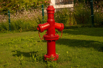 Fototapeta na wymiar red iron retro fire cock on green lawn