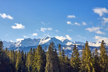 Obraz premium Tatra Mountains panorama seen from Glodowka Glade (Polana Głodówka), Poland