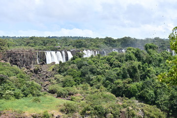 raging waterfall and mountain river in the jungle