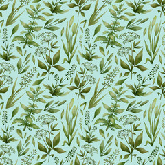 Watercolor seamless pattern with wild herbs and leaves. Botanical background with medicinal plants, nettle, goutweed, eragrostis, setaria. Pattern with grass perfect for covers, wallpaper, textile.