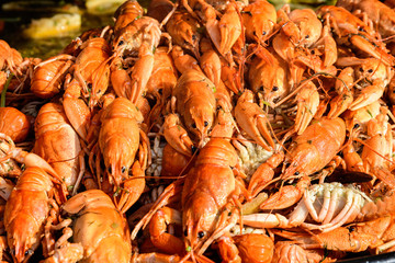 European crayfishes Astacus astacus (noble or broad-fingered crayfish, the most common species of crayfish in Europe) in a pan cooked at a street food festival, ready to eat healthy seafood 