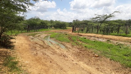 CAMINOS 