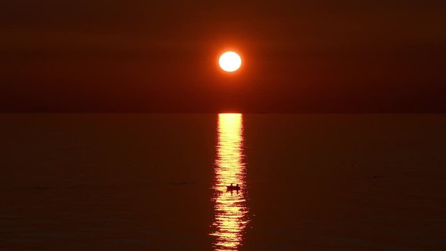 Una barca de pescadores navega a remo sobre la estela dorada intensa de una puesta de sol en el Mediterr&aacute;neo, al sur de Espa&ntilde;a