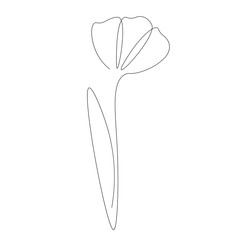 Flower drawing silhouette vector illustration