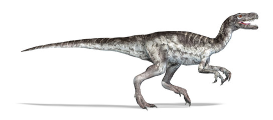 Herrerasaurus dinosaur, photorealistic 3d illustration.