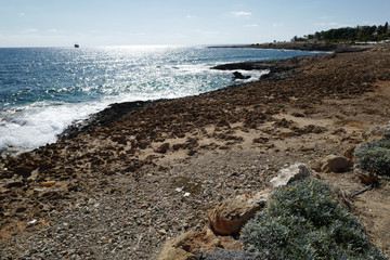 cityscape cyprus paphos