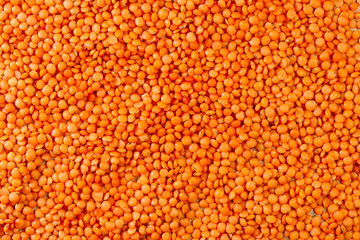 Food background. Textured background of red lentil grains. Abstract natural orange background. Top view on lentil grains. Close-up, horizontal, top view, free space. Agriculture concept.