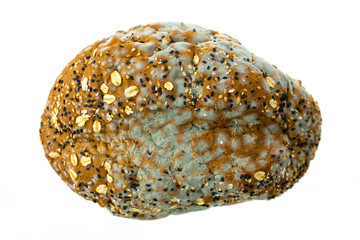 Mildew on bread. Moldy bread on white background.