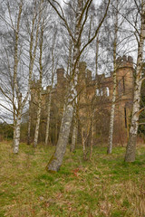 Crawford Priory near Cupar, Fife, Scotland. Abandoned, derelict gothic mansion. Seen through silver birch trees.