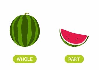 Educational english memo card with antonyms flat vector template. Kids cards for foreign language learning concept. Opposites, whole, part words. Cartoon watermelon illustration with typography