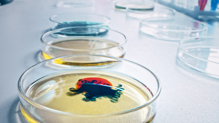 Microbiology Laboratory: Petri Dishes with Various Bacteria Samples, Pipette Drops Liquid Solution. Concept of Pharmaceutical Research for Antibiotics, Curing Disease, New Eco Energy. Close-up Macro