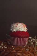red velvet cupcake with whipping cream
