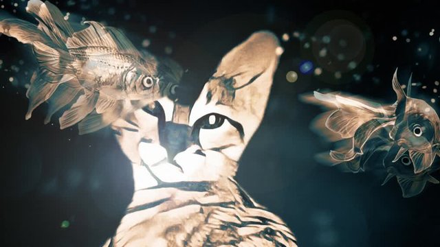 Cat Dreams