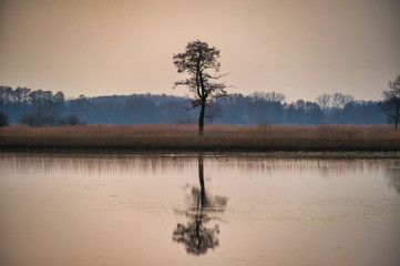 Pochmurny dzien nad jeziorem