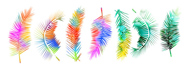 A set of multicolored palm leaves. Vector illustration