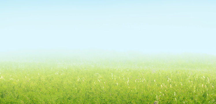 Summer Landscape. Nature horizontal background.