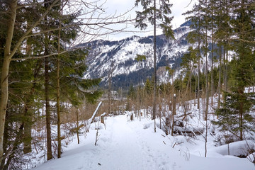 Obraz na płótnie Canvas Mountain trail in Roztoka Valley towards Stara Roztoka mountain chalet in Tatra Mountains.