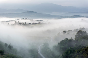 morning foggy landscape in the month of June
