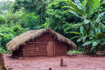 Tribe house in the argentinian rainforest, Misiones, Argentina