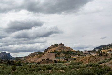 Andalusian landscape with yellow hills and green olive trees plantations