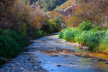 riachuelo a principios de marzo